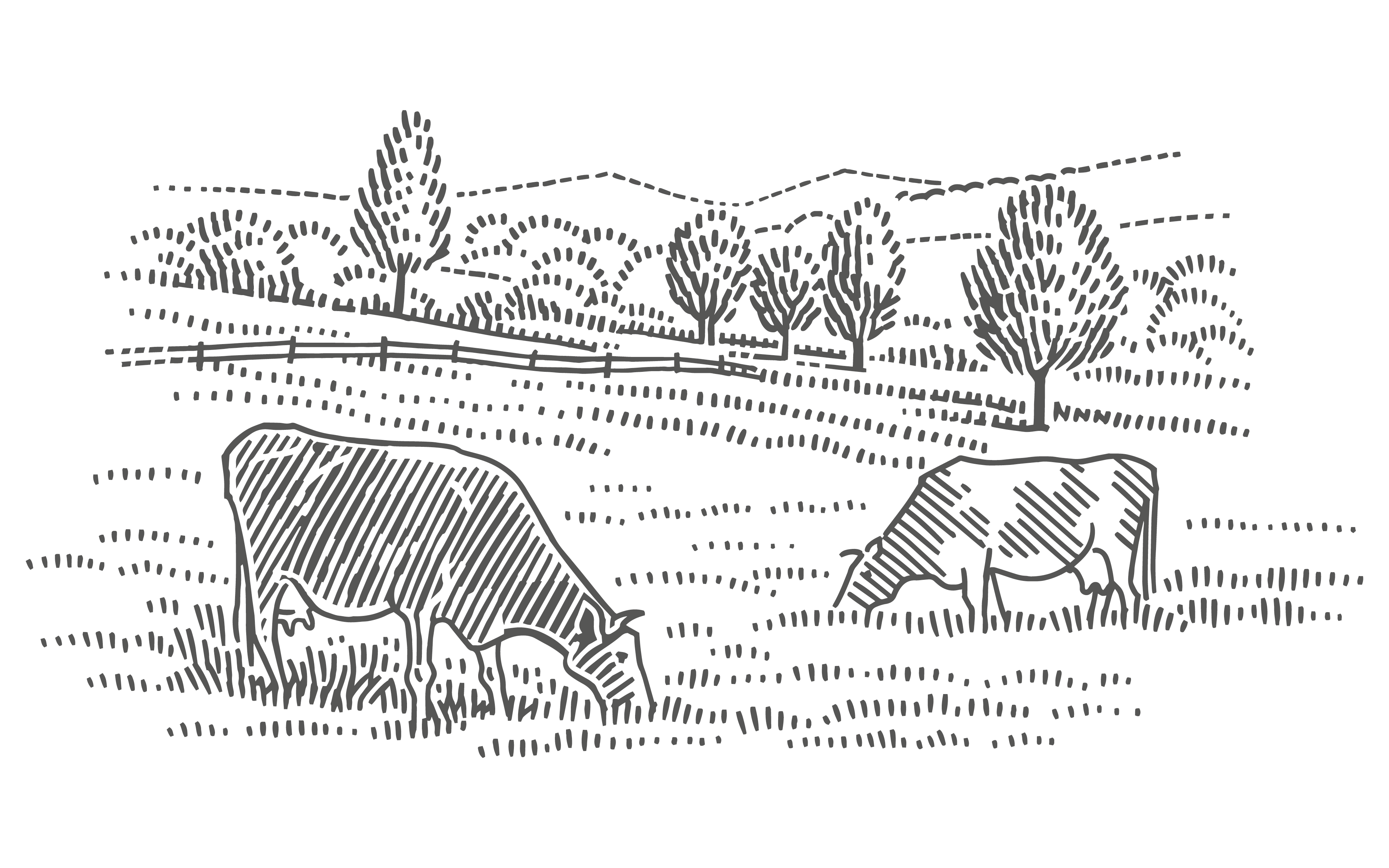 AdobeStock_357862064-