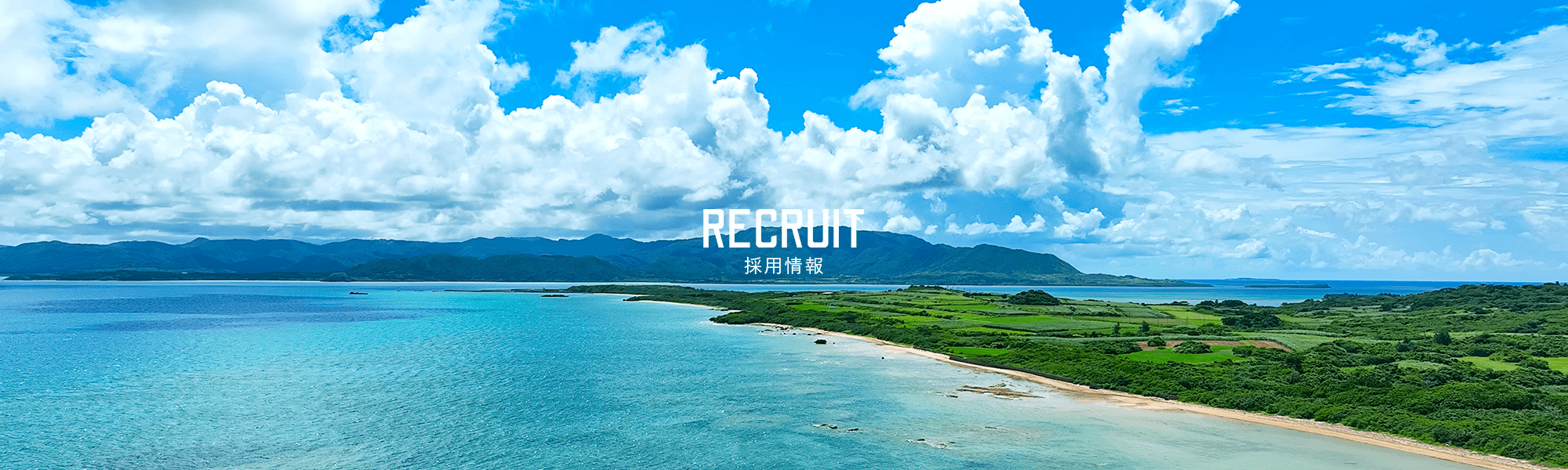 採用情報