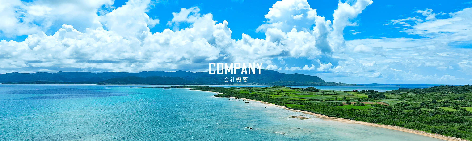 会社概要
