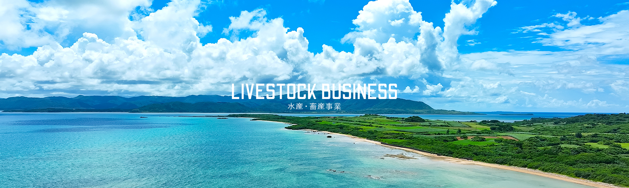 水産・畜産事業